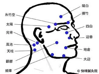 美容鍼　ツボ　経穴　快晴鍼灸院