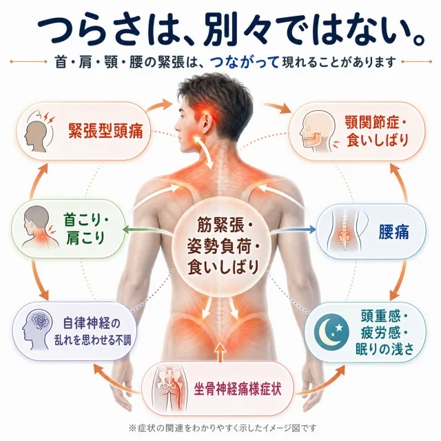 自律神経の不調と全身症状のつながり｜首こり・肩こり・顎関節症・食いしばり・緊張型頭痛・腰痛・坐骨神経痛・頭重感・疲労感が筋緊張と姿勢負荷を介して連鎖する仕組み｜足柄上郡 開成町 快晴鍼灸院