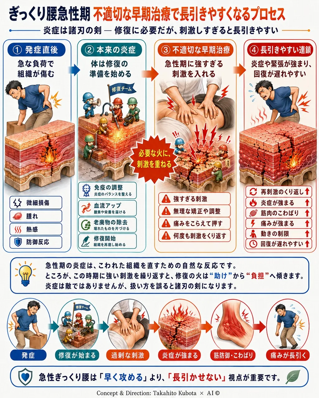 ぎっくり腰・急性腰痛が長引く仕組みを示す4段階の機序図｜①発症直後の組織損傷②修復に働く本来の炎症③急性期の強すぎる刺激や無理な矯正④再刺激・炎症増悪・筋緊張・回復遅延の連鎖｜足柄上郡開成町 快晴鍼灸院