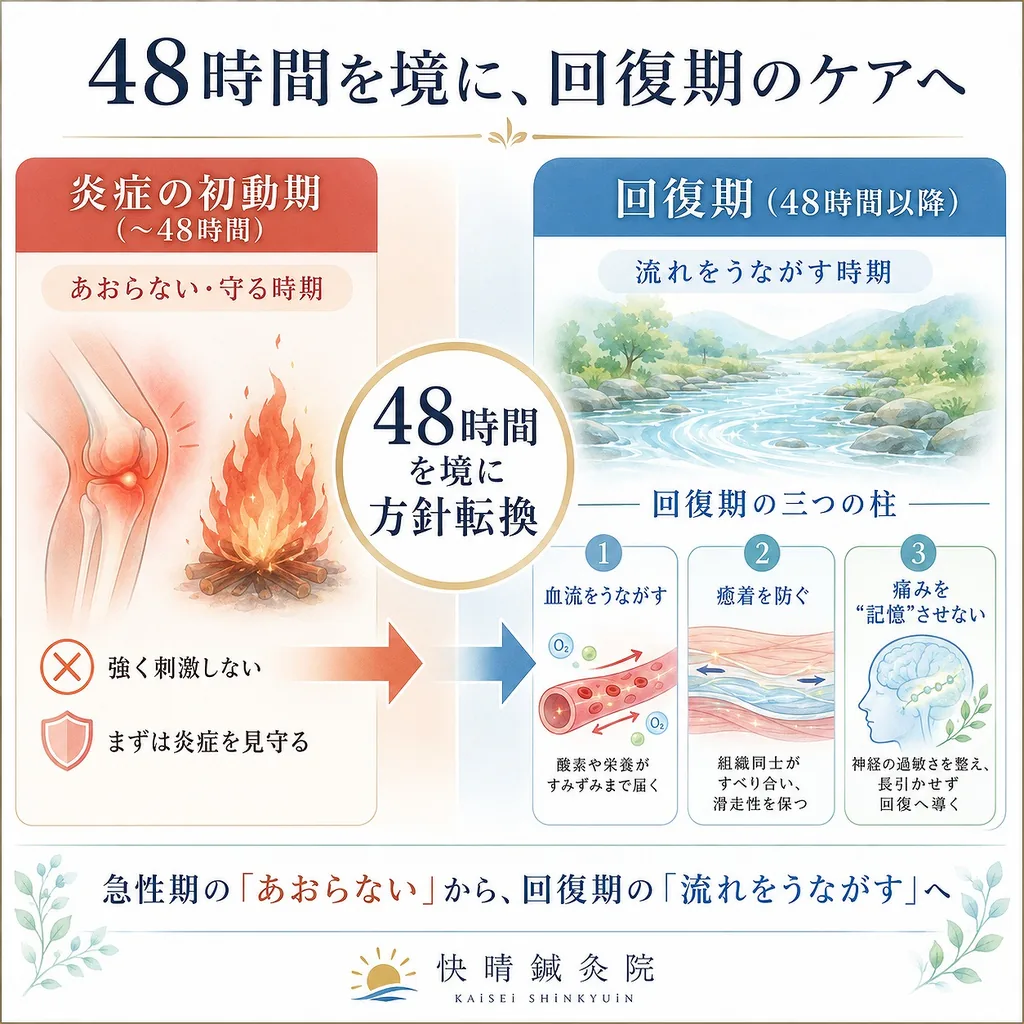 ぎっくり腰・急性腰痛から回復期へ移る目安を示す説明図｜発症後24〜48時間で痛み・熱感・動作・神経症状を再評価し、弱い刺激と日常動作へ段階的に戻す｜足柄上郡開成町 快晴鍼灸院