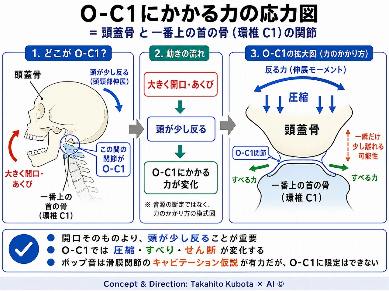 あくび・大開口で頭頸部が伸展し、頭蓋骨と環椎（C1）の関節（O–C1）に圧縮・すべり・一時的な離開が生じる仕組みの模式図｜首が鳴る訴えとストレートネック・食いしばり｜足柄上郡開成町 快晴鍼灸院