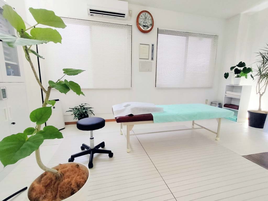 2025年全面リニューアル|快晴鍼灸院 白基調の清潔な鍼灸マッサージ施術室 神奈川県足柄上郡開成町の快晴鍼灸院、2025年10月に大幅リニューアルした白基調の施術室。自然光と観葉植物に包まれた清潔で開放的!!鍼灸・マッサージ施術所基準を優に満たす6.6㎡以上の空間で、肩こり・首こり・緊張型頭痛・腰痛など筋・筋膜痛の専門治療を行う。