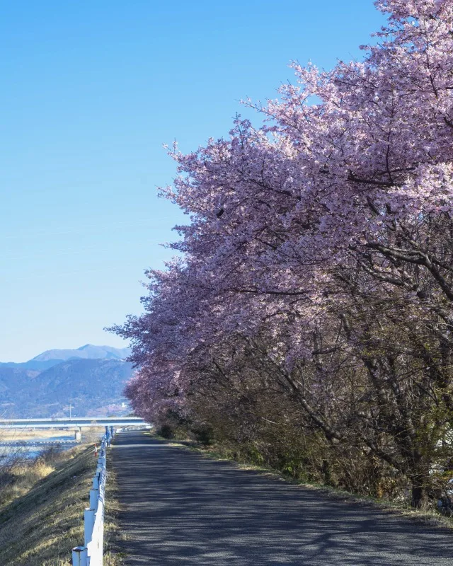 足柄上郡・開成町周辺の名所風景（その2）