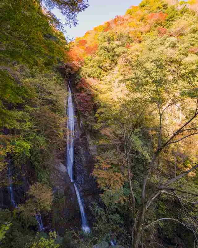 足柄上郡山北町の　洒水の滝