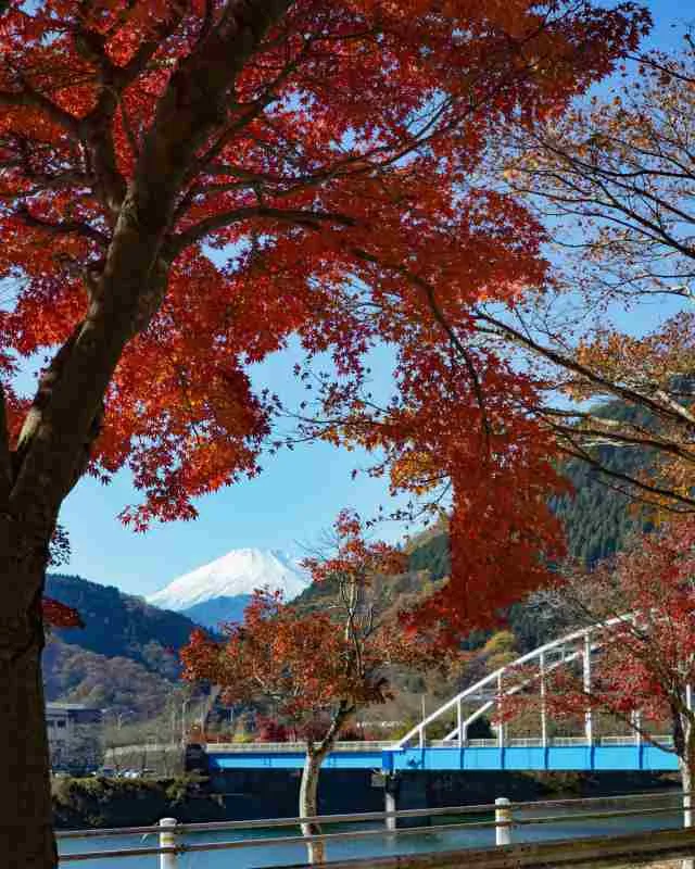 足柄上郡山北町　丹沢湖と紅葉