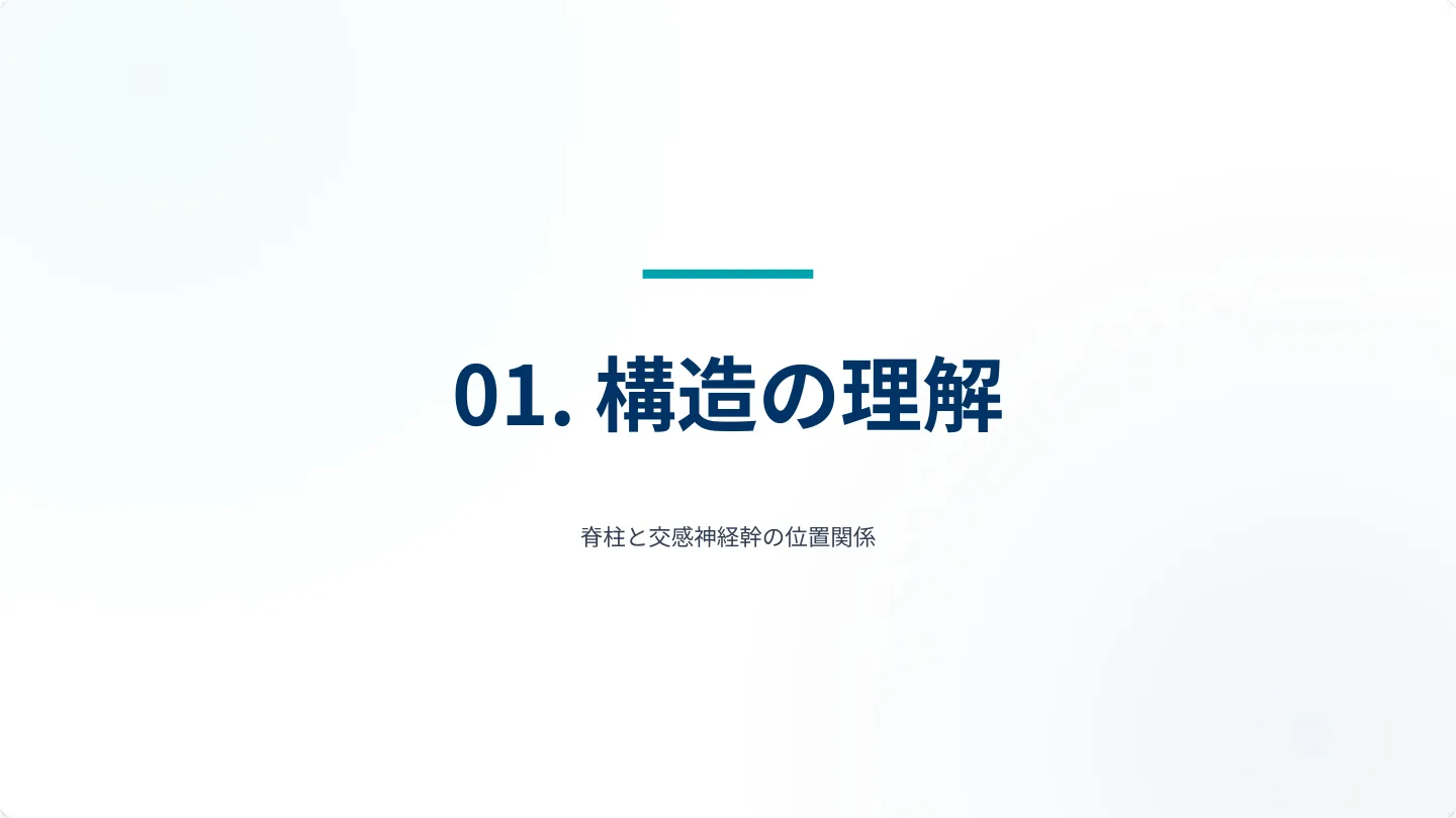 01. 構造の理解 ― 脊柱と交感神経幹の位置関係（章扉）